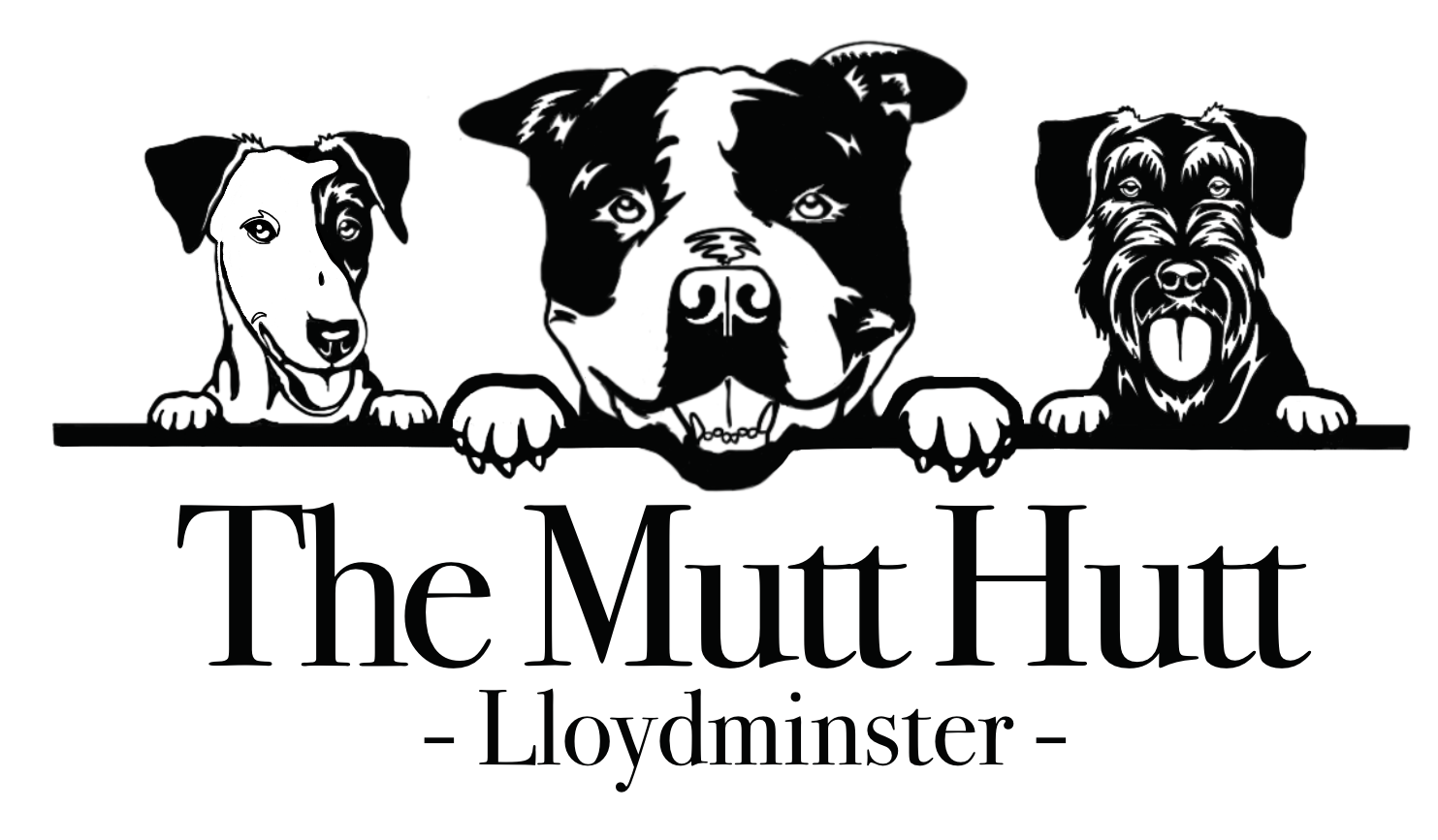 Mutt Hutt